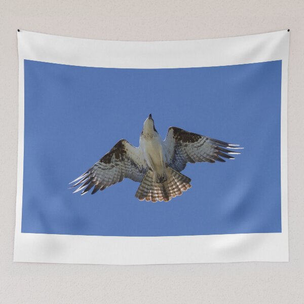 Item preview, Osprey in Flight designed and sold by WorldDesign.