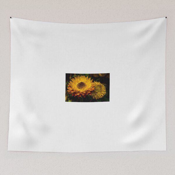 Item preview, Beautiful Everlasting Flower designed and sold by lm31.