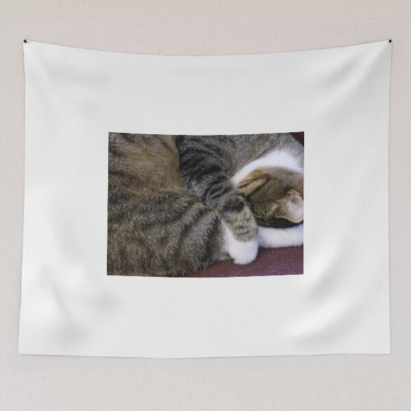 Item preview, A Sleeping TJ designed and sold by Frankie Cat Photography.