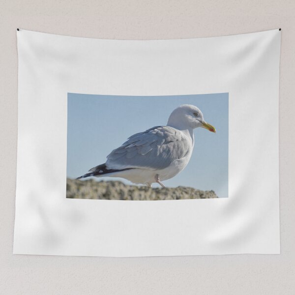 Item preview, Herring Gull at Lyme,Dorset UK designed and sold by lynn carter.