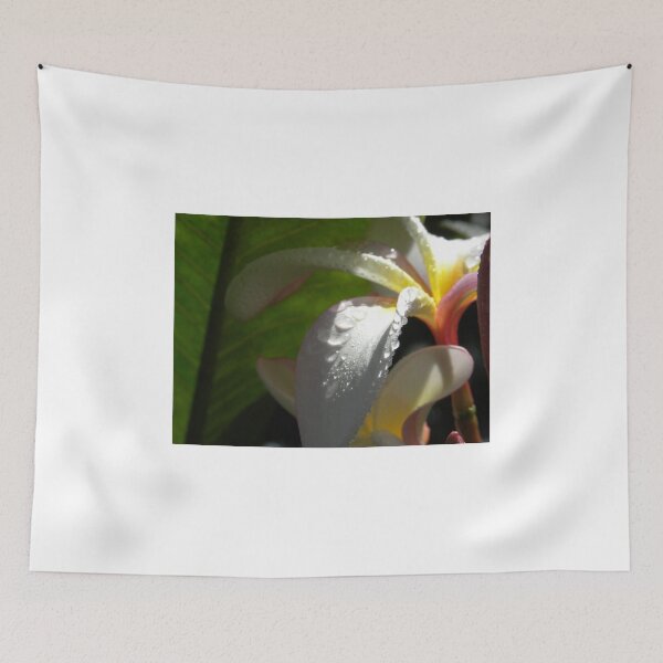 Item preview, White plumeria #3, Big Island, Hawaii designed and sold by JDY Studio Designs.