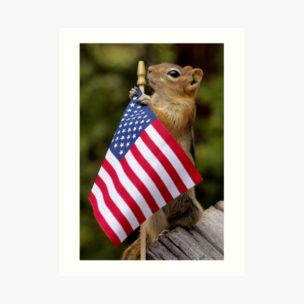 Jasper On Flag Patrol Art Print