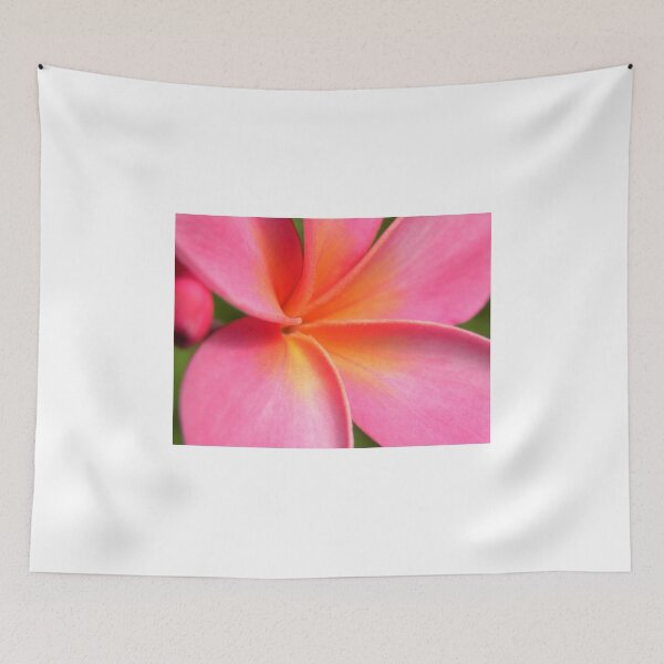 Item preview, Pink plumeria #4, Big Island, Hawaii designed and sold by JDY Studio Designs.