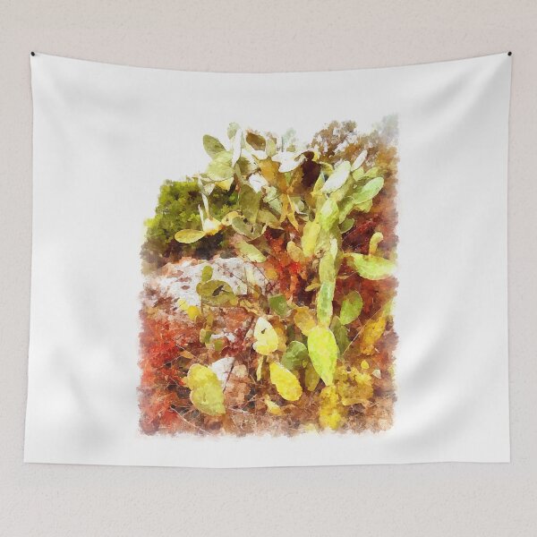 Item preview, Arzachena: prickly pear designed and sold by Giuseppe Cocco.