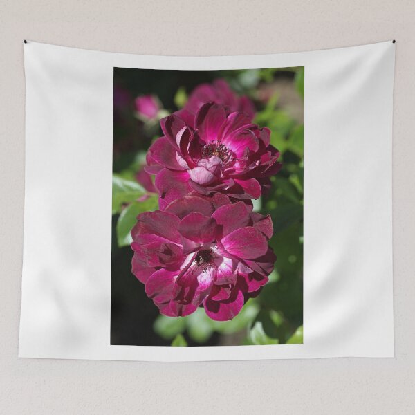 Item preview, Double The Rose  designed and sold by Joy Watson - Natural Light Photography .