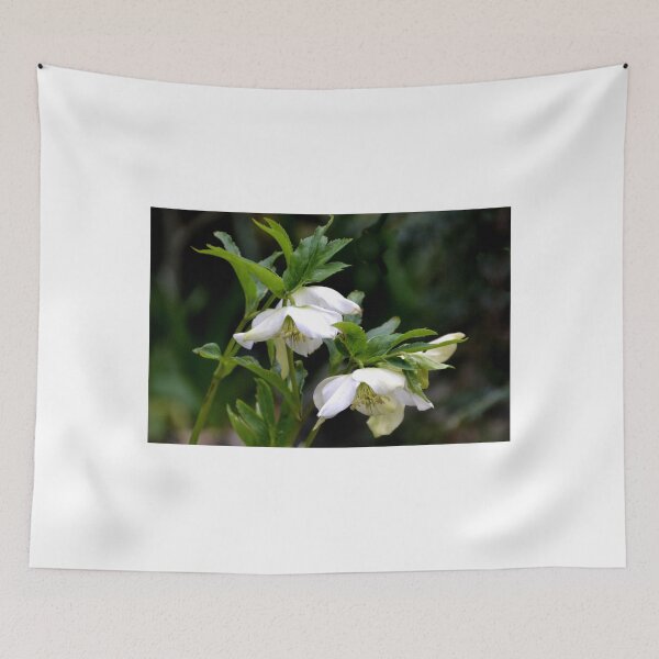Item preview, Humble Hellebore Flowers.......... designed and sold by lynn carter.