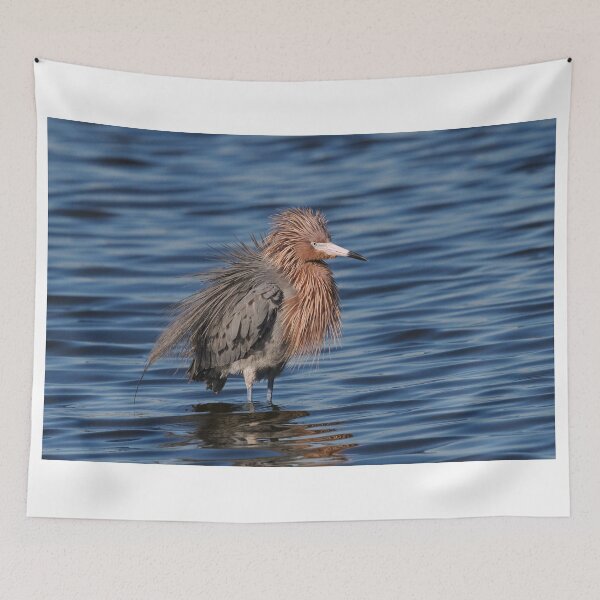 Item preview, Reddish Egret designed and sold by WorldDesign.