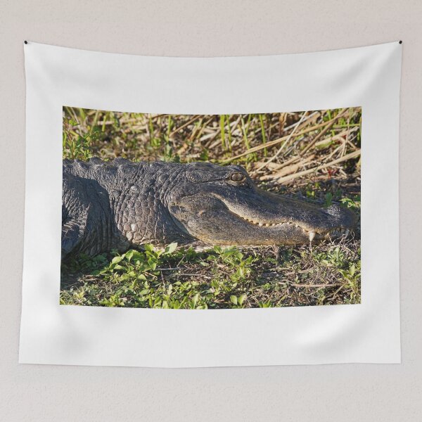 Item preview, Come A Little Bit Closer... designed and sold by Lanis Rossi.