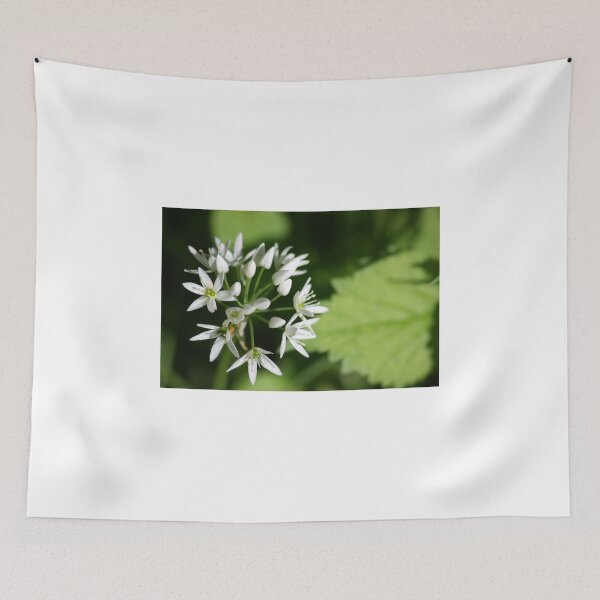 Item preview, Wild Garlic Blossom designed and sold by SmoothBreeze7 | Liz Collet Photography.