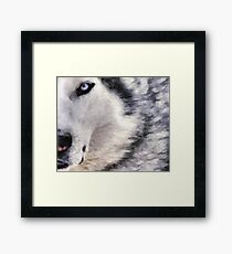 wolf brush Framed Print