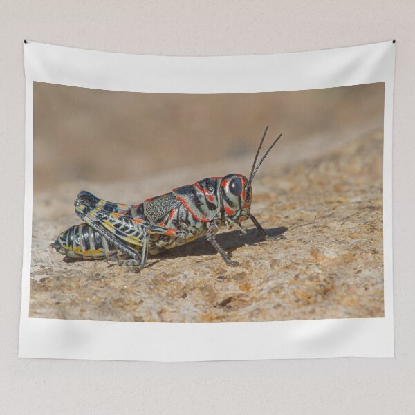 Item preview, Colorful Grasshopper designed and sold by WorldDesign.