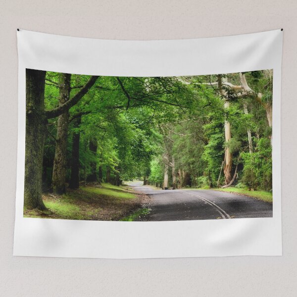 Item preview, The Avenue near Breenhold - Mt Wilson NSW Australia designed and sold by Bev Woodman.