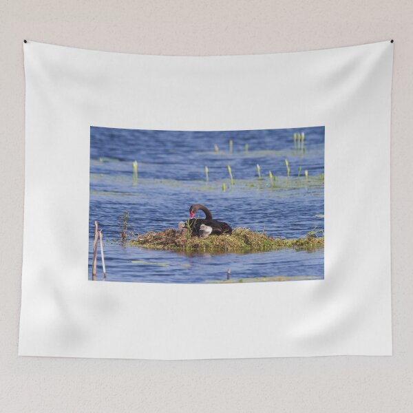 Item preview, Finally Cygnets designed and sold by byronbackyard.