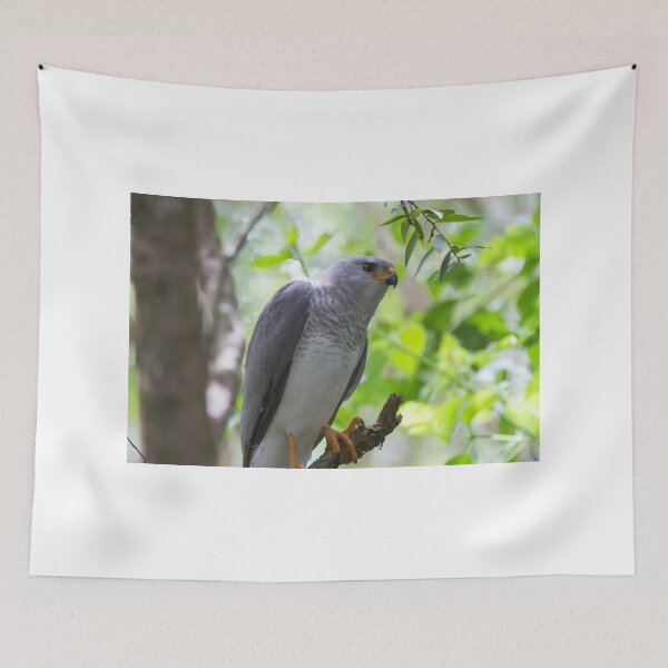 Item preview, Missed The Kill designed and sold by byronbackyard.
