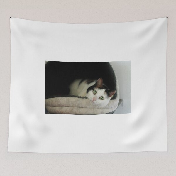 Item preview, Left on the Shelf designed and sold by Ladymoose.