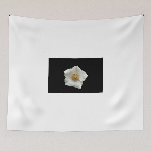 Aperçu de l'œuvre Crisp White Flower on Black créée et vendue par pjwuebker.