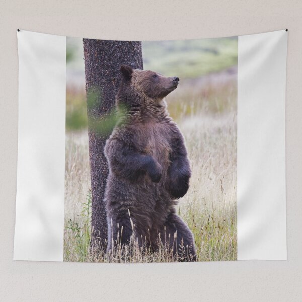 Item preview, Yellowstone Grizzly designed and sold by WorldDesign.