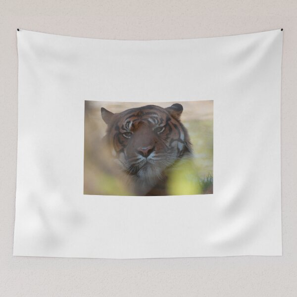 Item preview, You can't see me! designed and sold by darkwolf666.