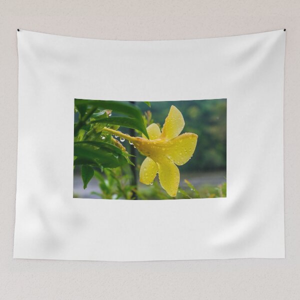 Item preview, Allamanda again designed and sold by lm31.