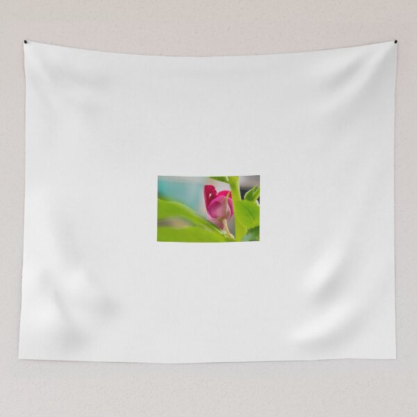 Item preview, Balsam designed and sold by lm31.