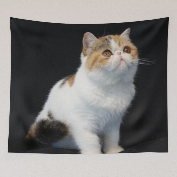 Item preview, Kitty designed and sold by gasm.