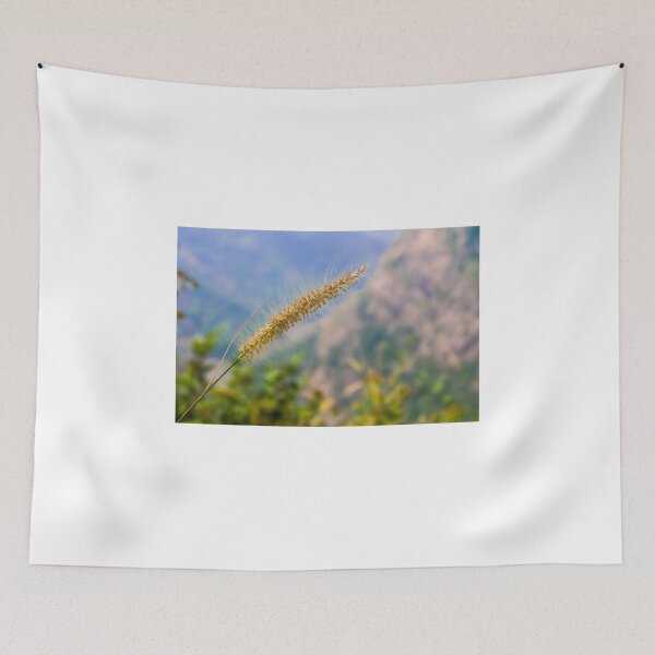 Item preview, Fountain Grass designed and sold by lm31.