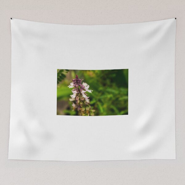 Item preview, Tulsi (Holy Basil) designed and sold by lm31.