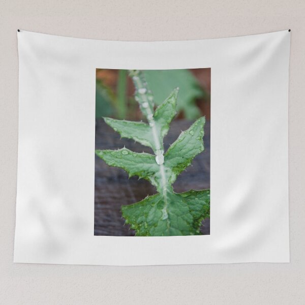 Item preview, Raindrops on a weed designed and sold by Jennifer Rose Clement.