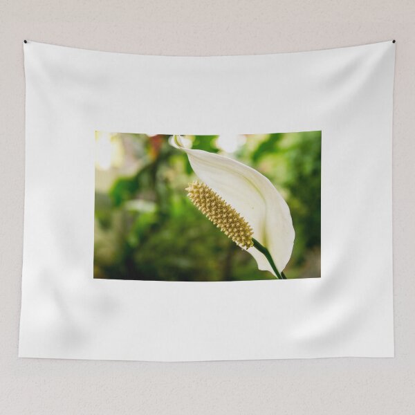 Item preview, Anthurium designed and sold by lm31.