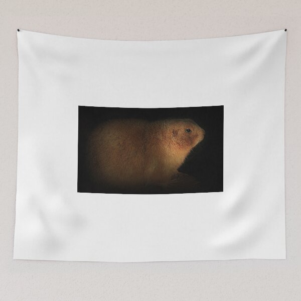 Item preview, Mr Prairie Dog designed and sold by Ladymoose.