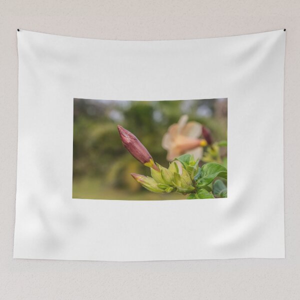 Item preview, Allamanda bud designed and sold by lm31.