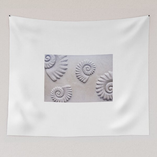 Item preview, shells designed and sold by Anne Scantlebury.