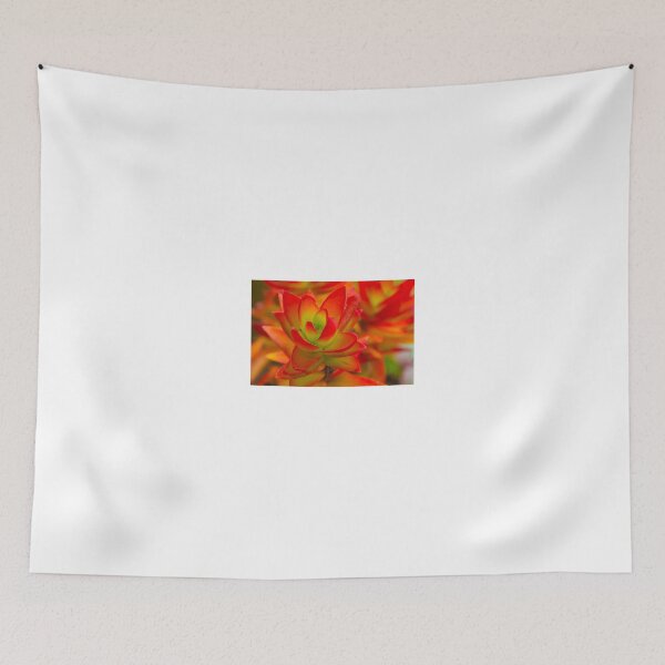 Item preview, Succulent designed and sold by lm31.