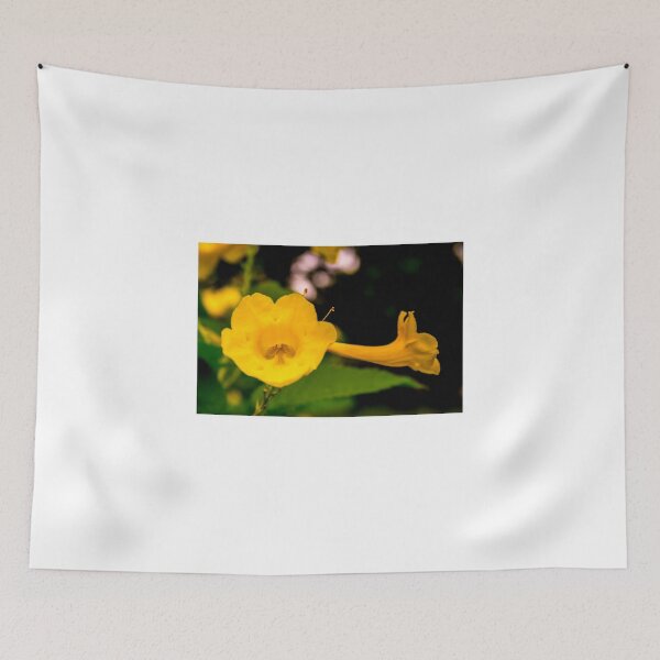 Item preview, Treasure inside designed and sold by lm31.