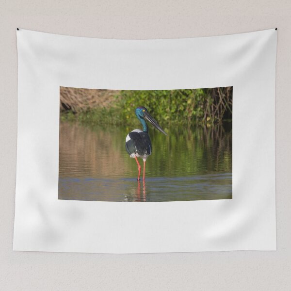 Item preview, Female Jabiru designed and sold by byronbackyard.