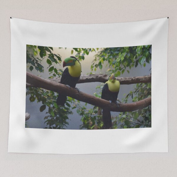 Item preview, National Aviary Pittsburgh Series - 20 designed and sold by sarahshanely.