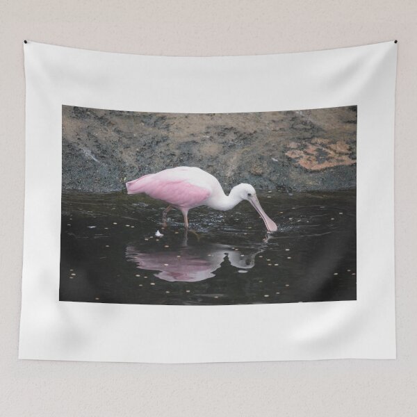 Item preview, National Aviary Pittsburgh Series - 21 designed and sold by sarahshanely.