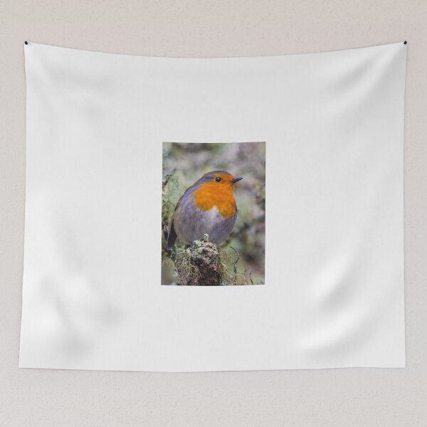 Item preview, Robin in breeding plumage designed and sold by Derek Corner.