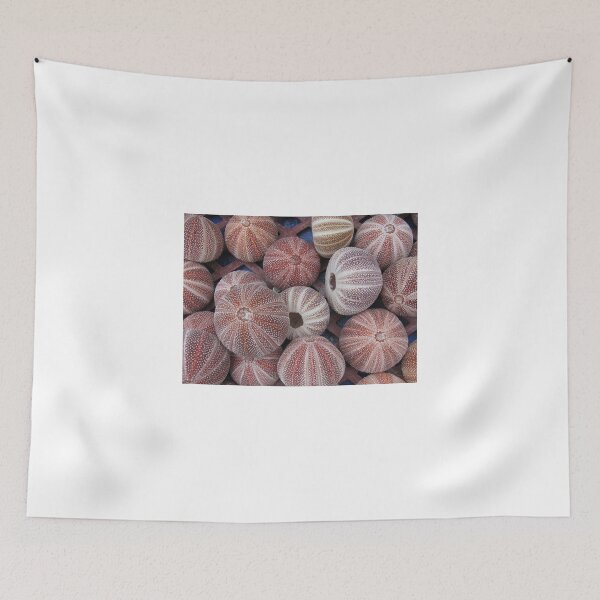 Item preview, RED TONED SEA URCHINS designed and sold by kazaroodie.