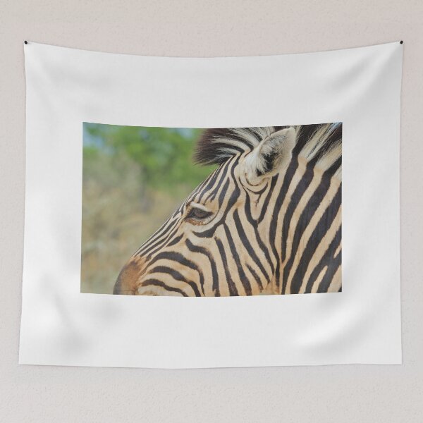 Item preview, Zebra - African Wildlife - Tranquility Pose designed and sold by LivingWild.