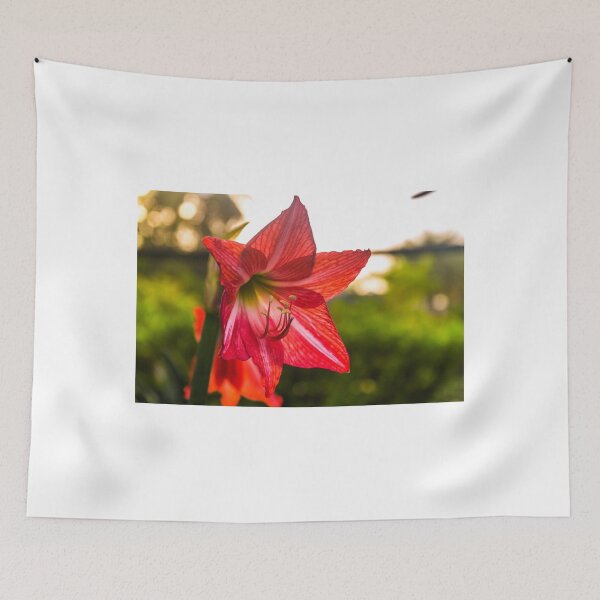 Item preview, Amaryllis designed and sold by lm31.