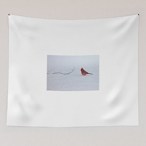 Item preview, Contemplating Cardinal designed and sold by Catherine Melvin.
