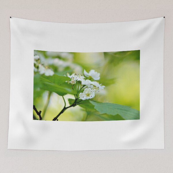 Item preview, Common Hawthorn  designed and sold by Kathleen Daley.