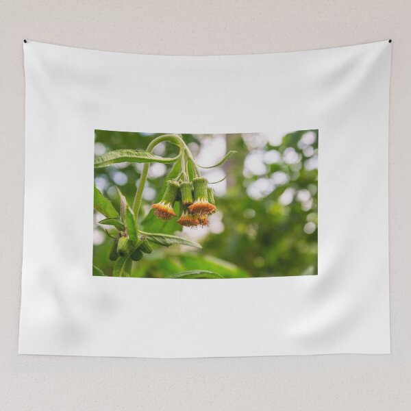 Item preview, Withered Asteraceae designed and sold by lm31.