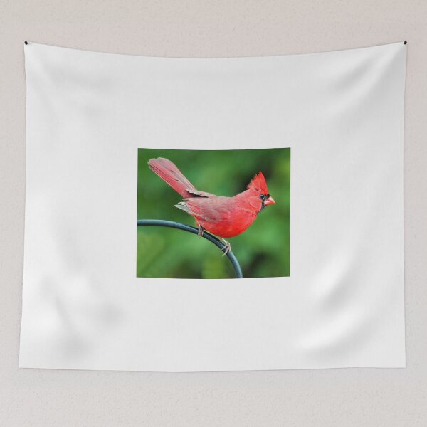 Item preview, Daredevil designed and sold by Catherine Melvin.