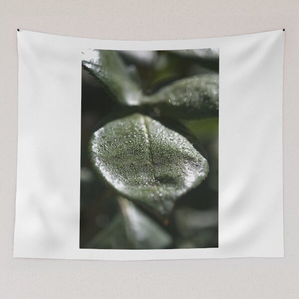 Artikelvorschau, Morgen Dew Rose Leaf entworfen und verkauft von Joy Watson - Natural Light Photography .