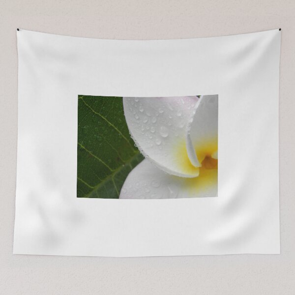 Item preview, White plumeria #5, Big Island, Hawaii designed and sold by JDY Studio Designs.