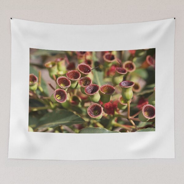 Item preview, Aussie Gumnut designed and sold by Joy Watson - Natural Light Photography .