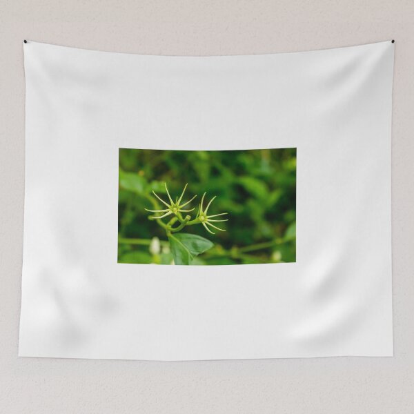 Item preview, Sepal's are beautiful too designed and sold by lm31.