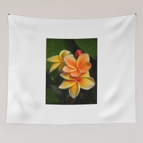 Item preview, Orange Plumeria #2 Big Island Hawaii designed and sold by JDY Studio Designs.